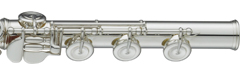 YFL-787