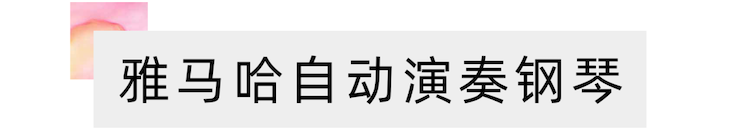 活动报道 | “科技助力，跨越时空”，小鹿纯子携手刘明康共享中日音乐盛宴